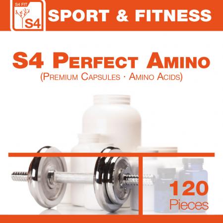 S4 Perfect Amino